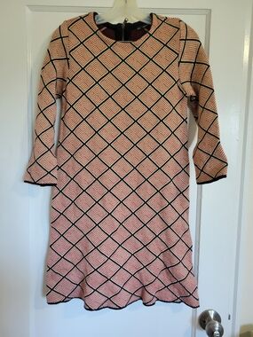 Zara Jumper Dress Small Aline Long Sleeve Wool Blend Beige Black Rust